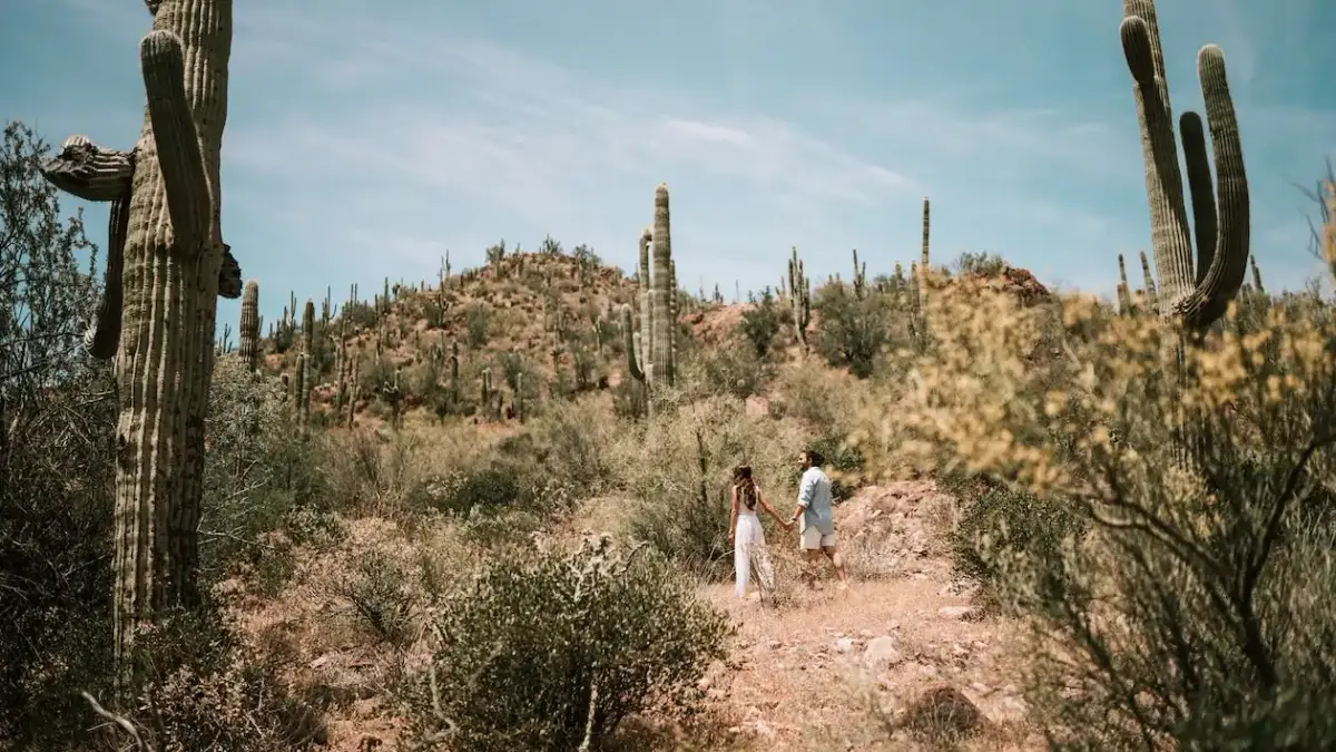 How Much Does it Cost To Build a Custom Luxury Home in Arizona? How Much Does it Cost To Build a Custom Luxury Home in Arizona?