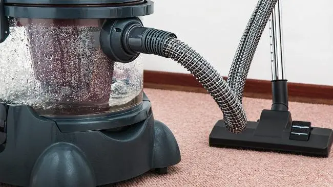 Why Is Moisture Bad for Carpet? How to Remove Moisture Why Is Moisture Bad for Carpet? How to Remove Moisture